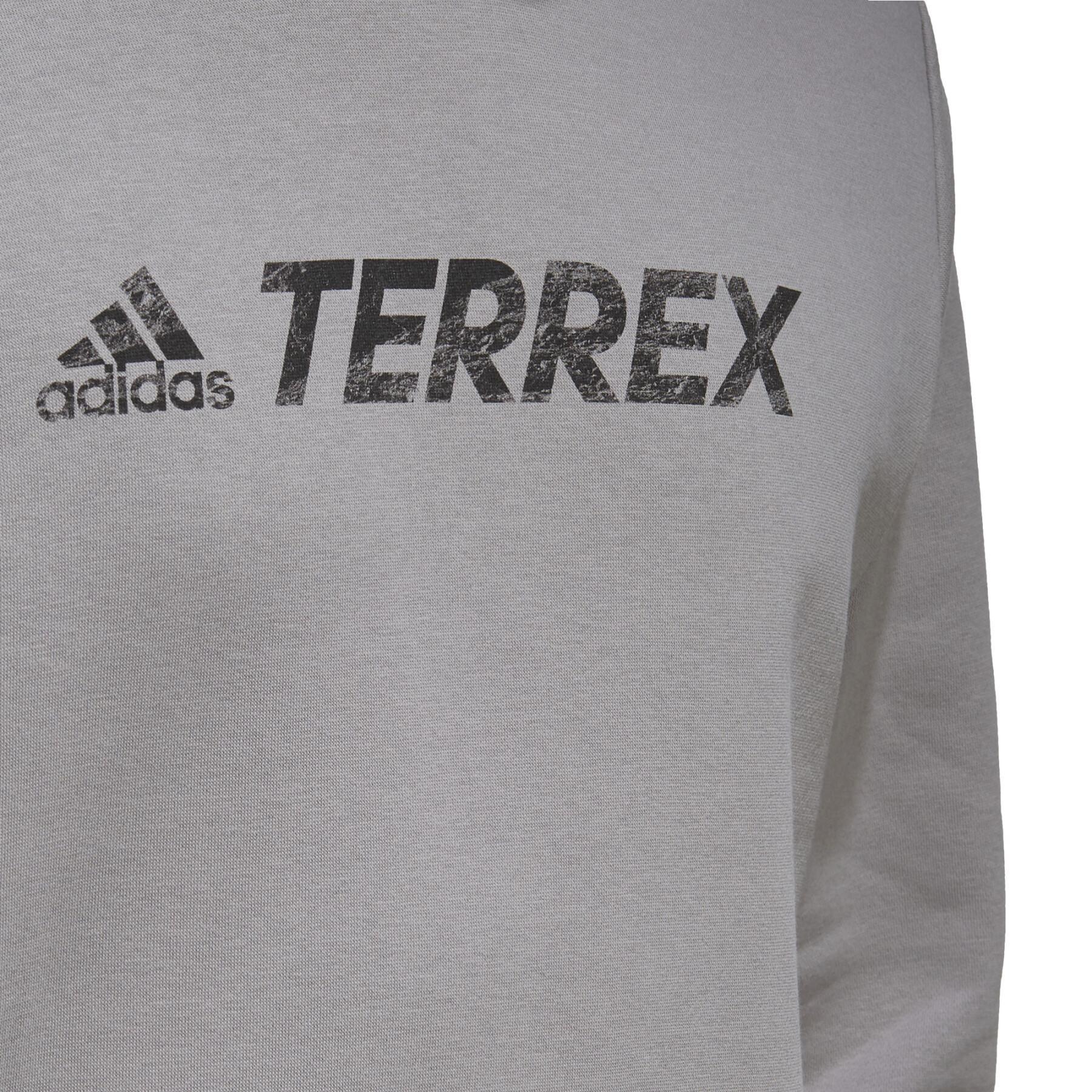 Bluza z kapturem adidas Terrex Graphic Logo