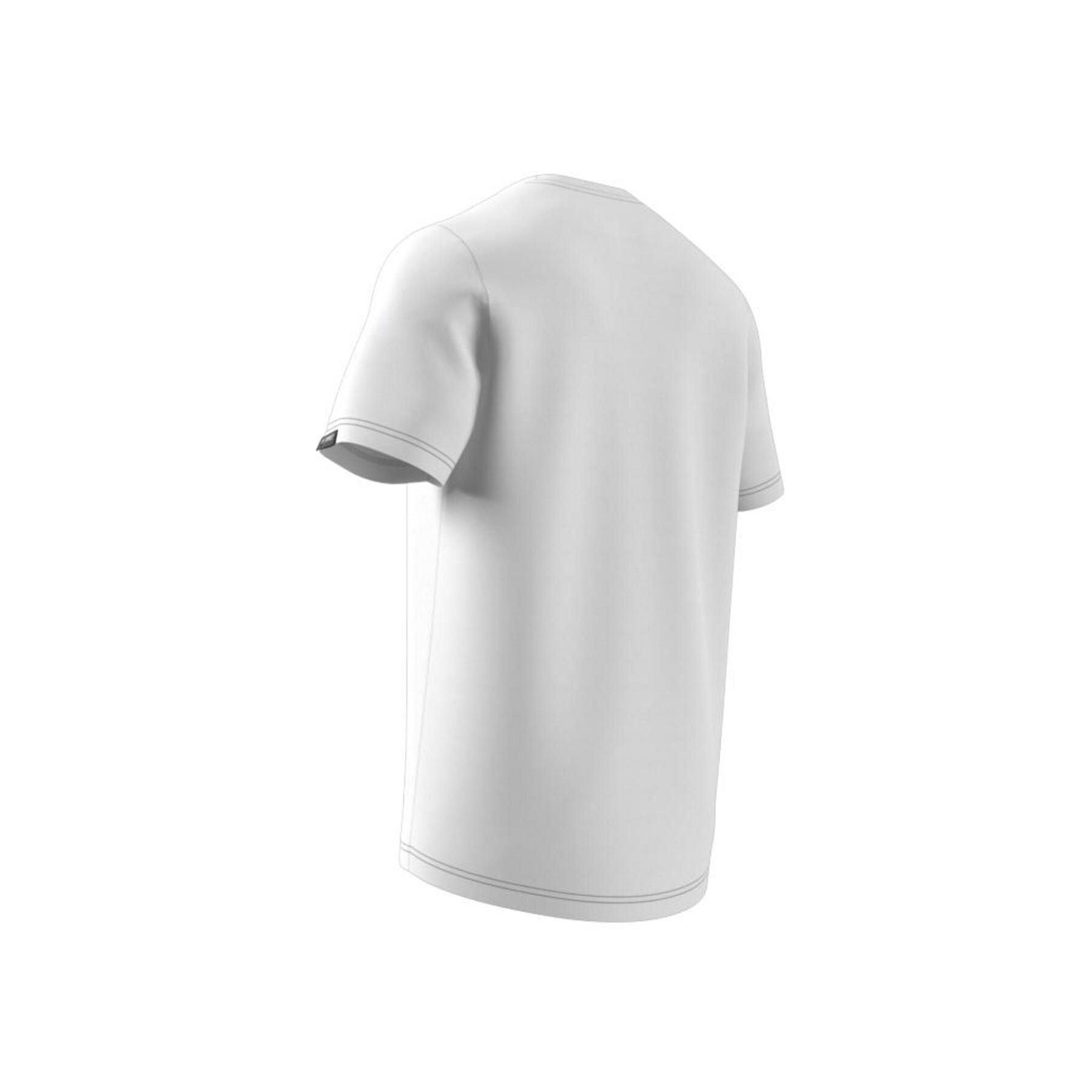 Koszulka adidas Terrex Pocket Graphic