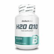 Opakowanie 12 słoików z witaminami biotech USA h20 q10 - 60 Gélul
