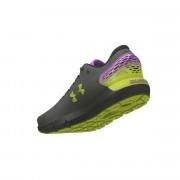 Buty do biegania dla kobiet Under Armour Charged Rogue 2 ColdGear Infrared