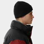 Czapka The North Face Norm Shallow